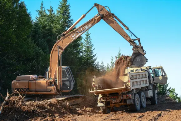 كازينو غولدن كراون الدعم